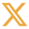 X_icon